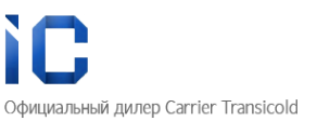 Логотип компании АйсКарго