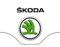 Логотип компании ТТС Skoda
