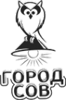 Логотип компании Город Сов