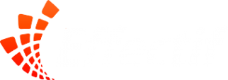 Логотип компании Effectif