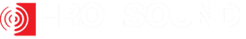 Логотип компании FROLSOUND
