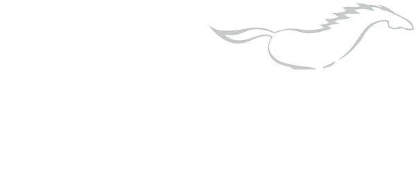 Логотип компании НОГАЙ
