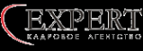 Логотип компании Expert