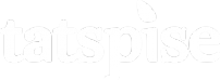 Логотип компании ТатСпайс