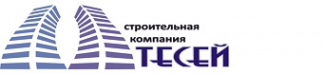 Логотип компании Тесей