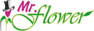 Логотип компании Mr.Flower
