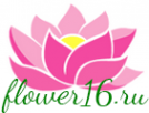 Логотип компании Flower16.ru