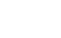 Логотип компании Синтэл Электрик