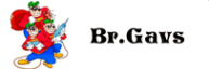 Логотип компании Br.Gavs