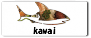 Логотип компании Кавай