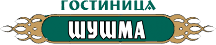 Логотип компании Шушма