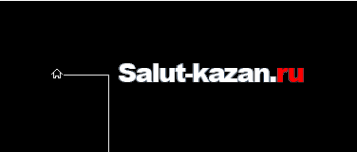 Логотип компании Компания по продаже салютов