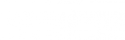 Логотип компании VIP-Master
