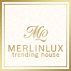 Логотип компании MerlinLux