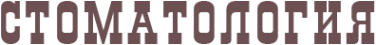 Логотип компании Новый Стандарт