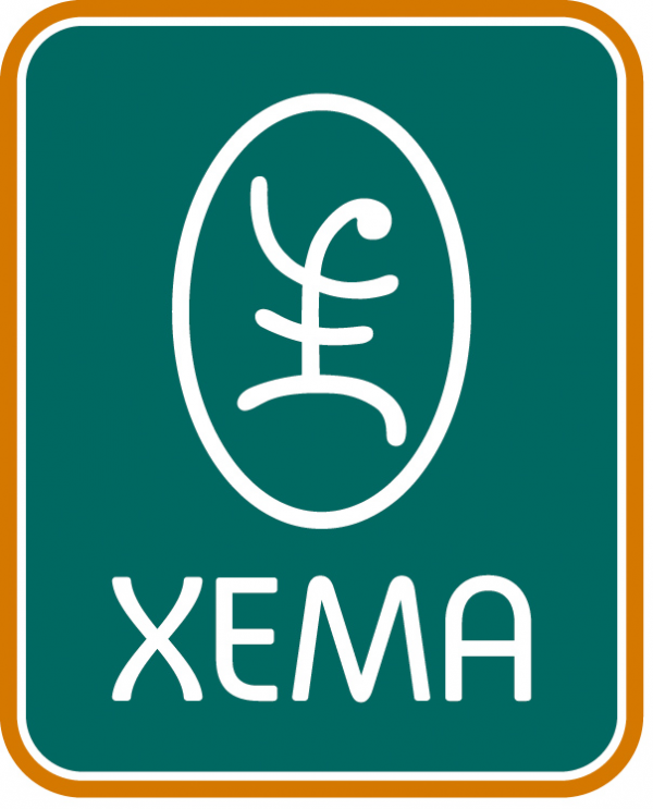 Логотип компании Хема