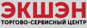 Логотип компании ЭКШЭН