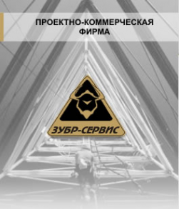 Логотип компании Зубр-Сервис