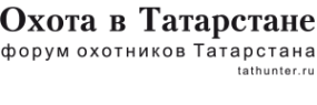 Логотип компании Tathunter.ru