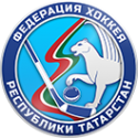 Логотип компании Федерация хоккея Республики Татарстан