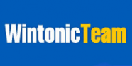 Логотип компании Wintonic Team
