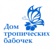 Логотип компании Компания по доставке живых бабочек
