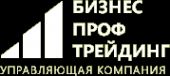Логотип компании БизнесПрофТрейдинг