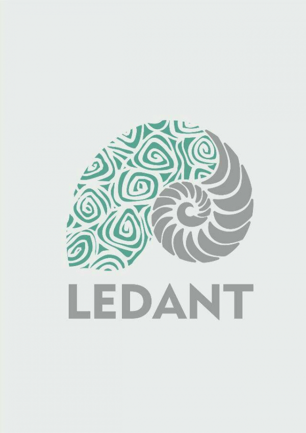 Логотип компании LEDANT