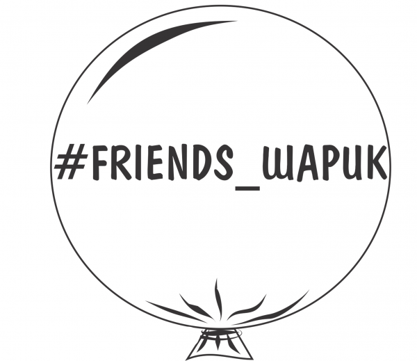 Логотип компании Friends-Шарик
