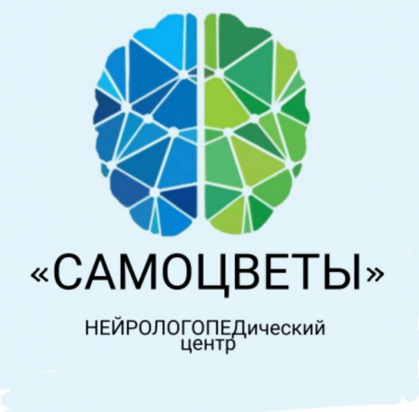 Логотип компании САМОЦВЕТЫ