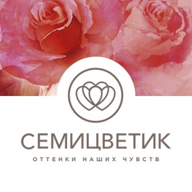 Логотип компании Семицветик