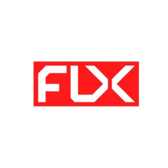 Логотип компании FLX