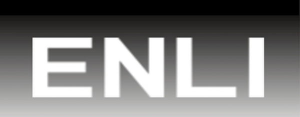 Логотип компании ENLI